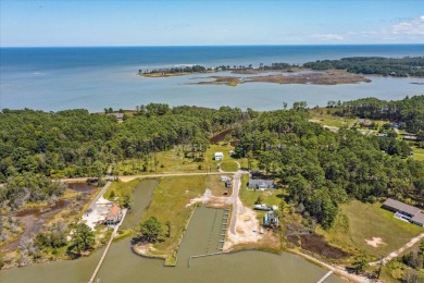 Beach Home For Sale in Moon, Virginia