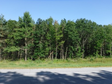 Beach Acreage Sale Pending in Harrisville, Michigan