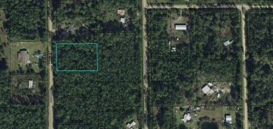 Beach Lot Sale Pending in Bunnell, Florida