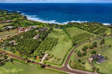 Beach Acreage For Sale in Kapaa, Hawaii