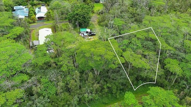 Beach Lot For Sale in Pahoa, Hawaii