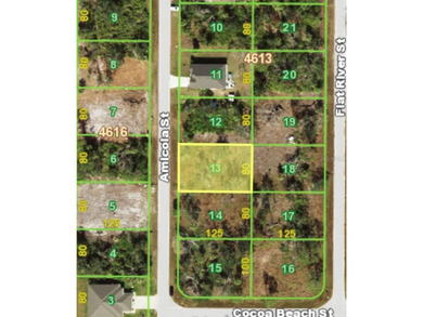 Beach Lot For Sale in Port Charlotte, Florida