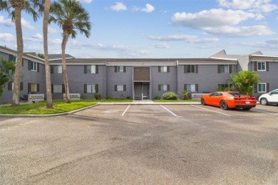 Beach Condo For Sale in Tampa, Florida