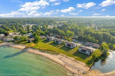 Beach Condo For Sale in Burtchville Twp, Michigan