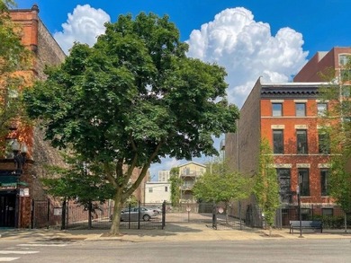 Beach Lot For Sale in Chicago, Illinois