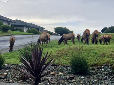 Beach Lot For Sale in Brookings, Oregon