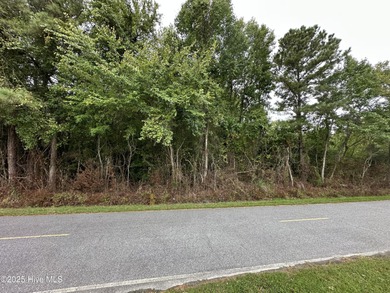 Beach Acreage For Sale in Elizabeth City, North Carolina