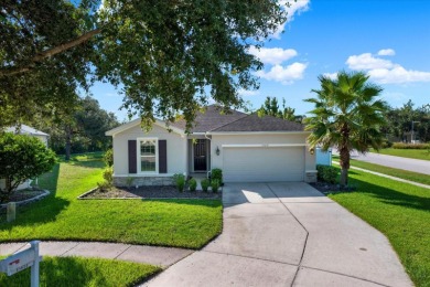 Beach Home For Sale in Land O Lakes, Florida