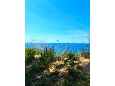 Beach Acreage For Sale in Arcadia, Michigan