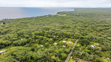 Beach Lot For Sale in Keaau, Hawaii