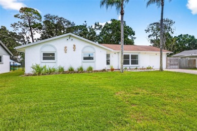 Beach Home For Sale in Oldsmar, Florida