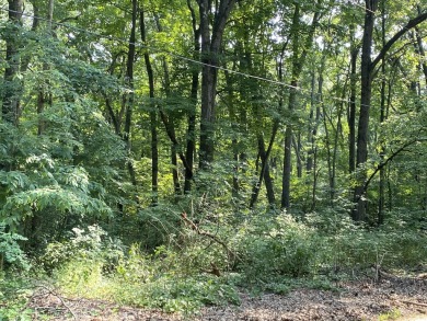 Beach Acreage For Sale in Saugatuck, Michigan