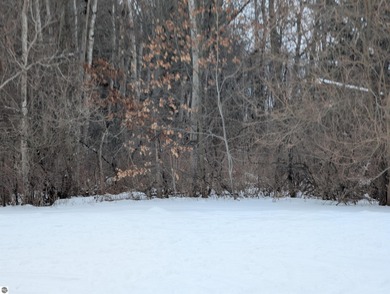 Beach Acreage For Sale in Au Gres, Michigan