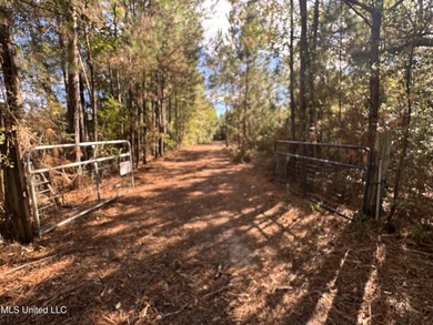 Beach Acreage For Sale in Bay Saint Louis, Mississippi