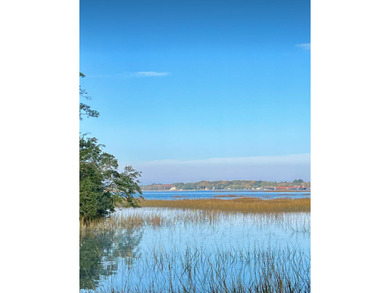 Beach Acreage For Sale in Wadmalaw Island, South Carolina