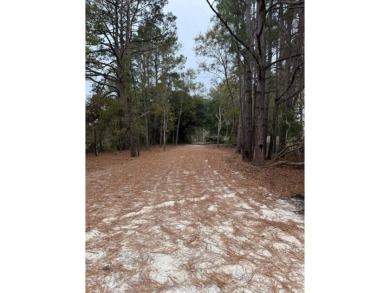 Beach Acreage For Sale in Edisto Island, South Carolina