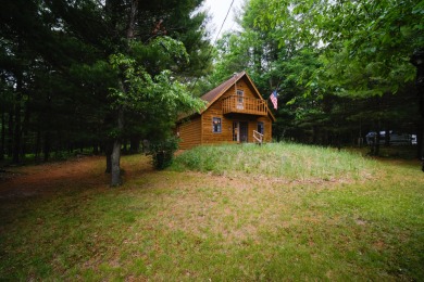 Beach Home For Sale in Free Soil, Michigan