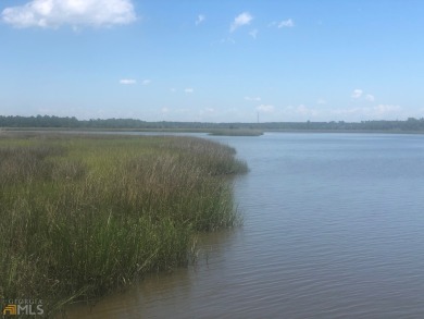 Beach Lot For Sale in Midway, Georgia