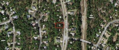 Beach Lot For Sale in Homosassa, Florida