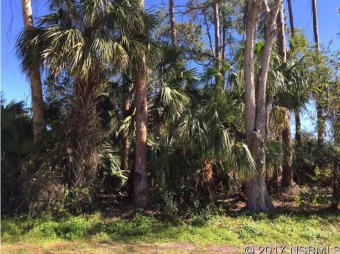 Beach Lot Off Market in Edgewater, Florida