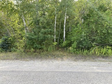 Beach Lot For Sale in Rogers City, Michigan