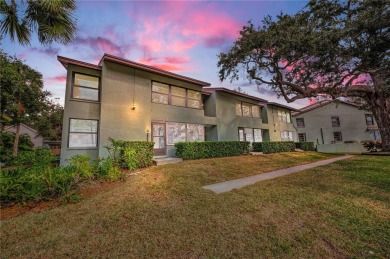 Beach Condo For Sale in Safety Harbor, Florida