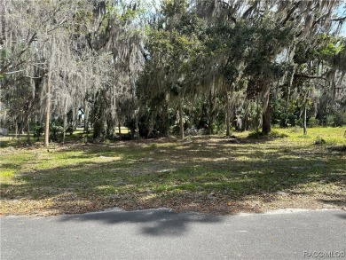 Beach Lot For Sale in Crystal River, Florida