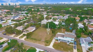Beach Lot For Sale in Naples, Florida
