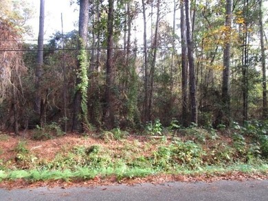 Beach Lot For Sale in Slidell, Louisiana