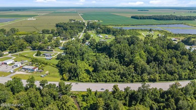 Beach Acreage For Sale in Bayboro, North Carolina