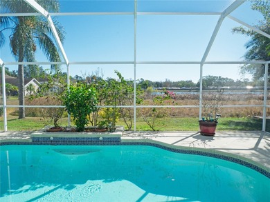 Beach Home Sale Pending in Tampa, Florida