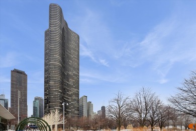 Beach Condo For Sale in Chicago, Illinois