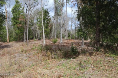 Beach Lot For Sale in Havelock, North Carolina