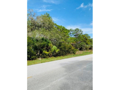 Beach Lot For Sale in Port Charlotte, Florida