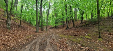 Beach Acreage For Sale in Pentwater, Michigan