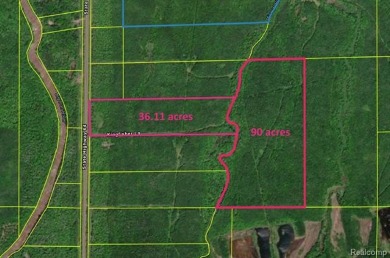 Beach Acreage For Sale in Ontonagon, Michigan