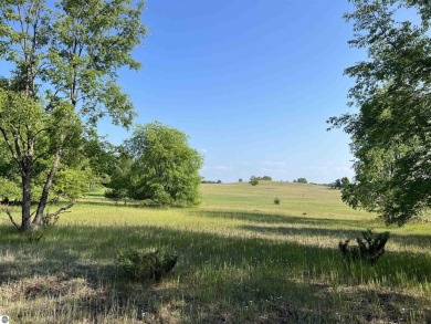 Beach Acreage For Sale in Empire, Michigan