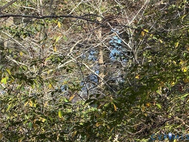 Beach Lot For Sale in Williamsburg, Virginia