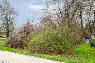 Beach Lot For Sale in Painesville, Ohio