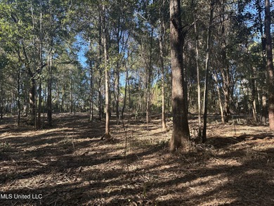 Beach Acreage For Sale in Waveland, Mississippi