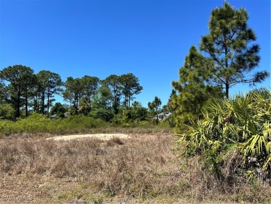 Beach Lot For Sale in Lehigh Acres, Florida