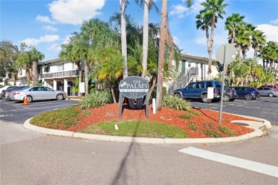 Beach Condo For Sale in Tampa, Florida