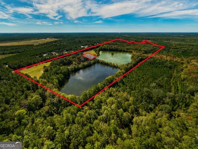 Beach Acreage For Sale in Townsend, Georgia