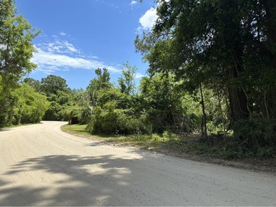 Beach Lot Active Under Contract in Edisto Island, South Carolina