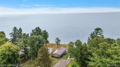Beach Home For Sale in Lexington, Michigan