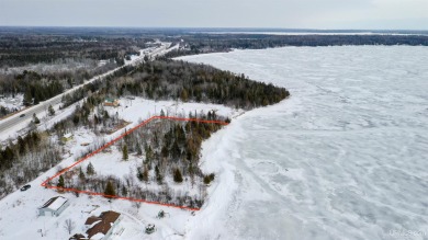 Beach Lot For Sale in Gulliver, Michigan