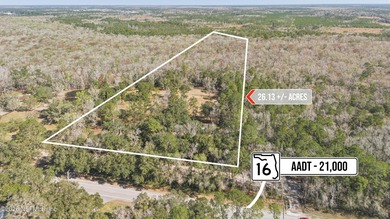 Beach Commercial For Sale in St Augustine, Florida