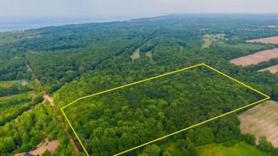 Beach Acreage Sale Pending in New Buffalo, Michigan