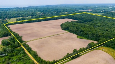 Beach Acreage For Sale in New Buffalo, Michigan