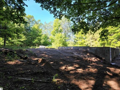Beach Acreage For Sale in Frankfort, Michigan